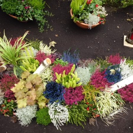 Wechselbeet Herbst Struktur